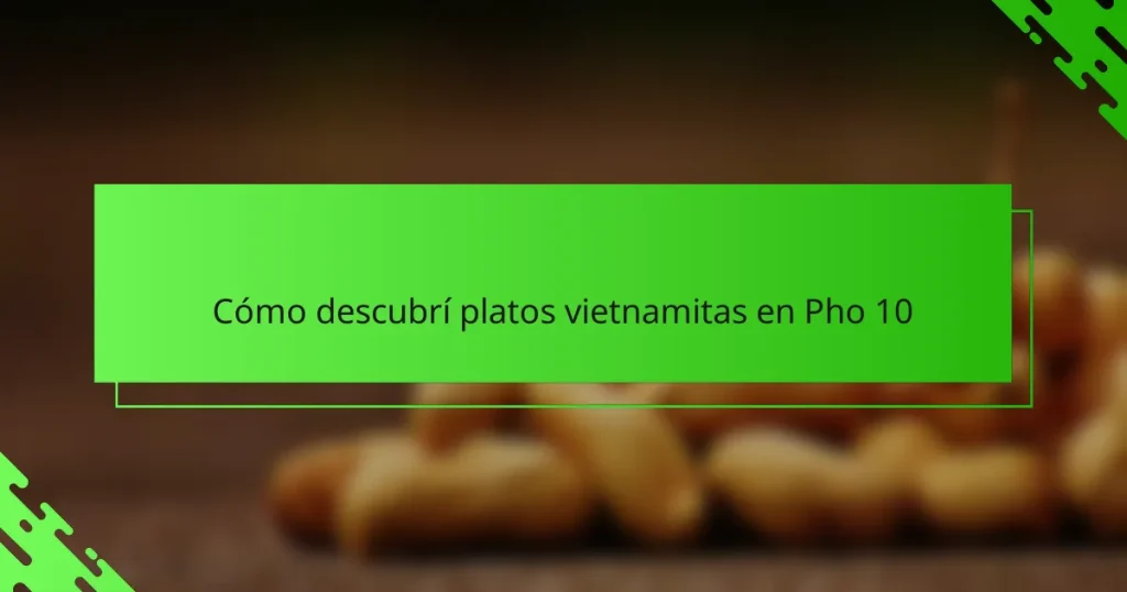 Cómo descubrí platos vietnamitas en Pho 10