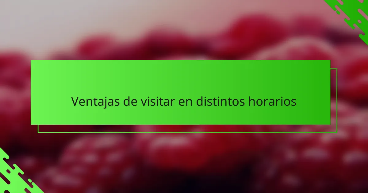 Ventajas de visitar en distintos horarios